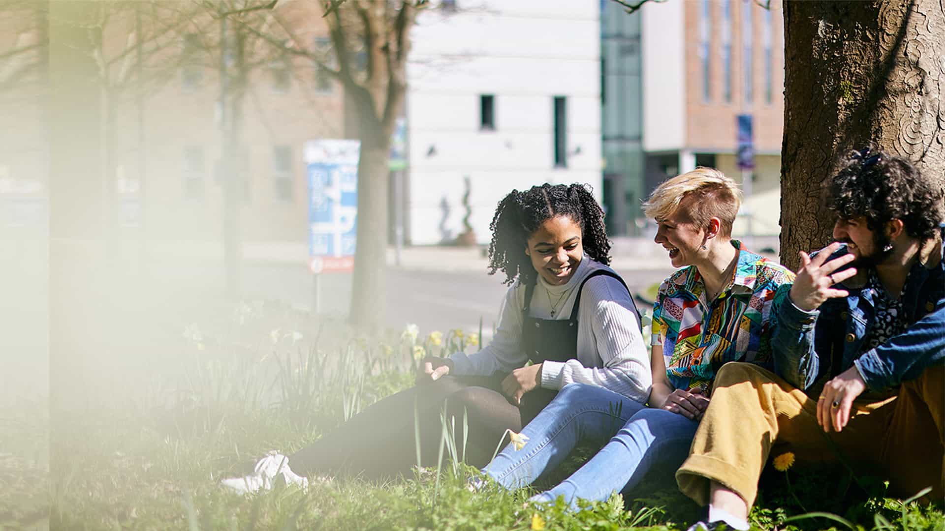 Three students sat on the grass next to a tree